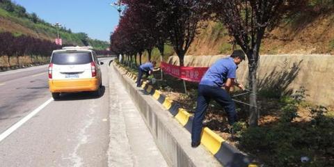 韩城市农村公路事务中心“五大举措”冲刺省级“四好农村路”示范县创建