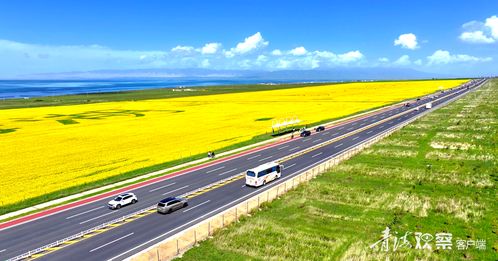 新增超1000公里 青海高速公路内畅外联再升级